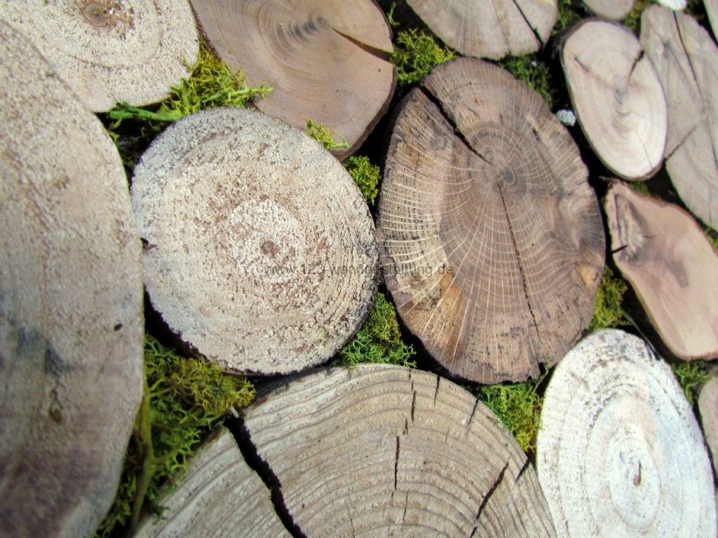 Holzverkleidung archive der partner für kreative wandgestaltung ...