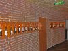 Wandgestaltung der Vinothek auf der Aida Sol