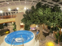 kreuzfahrtschiff-aidamar-wellness-oase-6
