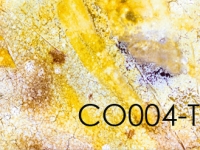 Wandpaneele Art-Panel Neutral-TX CO004-TX-B
