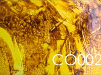 Wandpaneele Art-Panel Neutral-TX CO002-TX