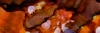 art-panel-co-005-naranja-marron-manchas