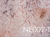 Wandpaneele Art-Panel Neutral-TX-B NE002-TX-B