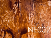 Wandpaneele Art-Panel Neutral-TX NE0012-TX