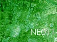 Wandpaneele Art-Panel Neutral-TX NE011-TX