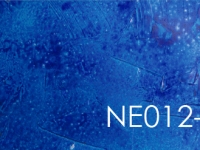 Wandpaneele Art-Panel Neutral-TX NE012-TX