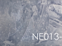 Wandpaneele Art-Panel Neutral-TX NE013-TX