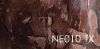 Wandpaneele Art-Panel Neutral-TX NE010-TX
