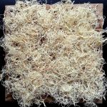 Moospaneele - Curly Moos - Farbe white