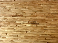 Holzpaneele - Woody-Panels - Cuts Oak