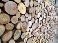 Holzpaneele von FOR-REST - Roundsticks Mini