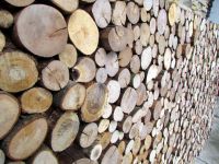 Holzpaneele von FOR-REST - Roundsticks Mini