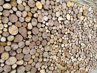 Holzpaneele von FOR-REST - Roundsticks Mini