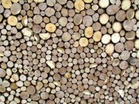Holzpaneele von FOR-REST - Roundsticks Mini
