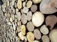 Holzpaneele - FOR-REST - Roundsticks Mini