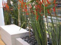 Grünraumgestaltung - Bambus - Möbelhaus - Küchenausstellung