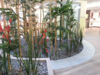 Innenraumbegrünung - Bambus - Küchenausstellung bei Erfurt