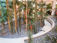 Innenraumbegrünung - Bambus - Küchenausstellung bei Erfurt