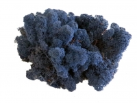 islandmoos-blau-3