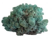 Islandmoos Aquamarin