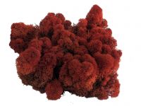 Islandmoos - Crimson