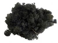 islandmoos-schwarz-3