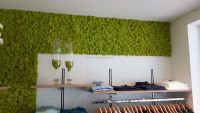 Mooswand - Islandmoos Frühlingsgrün - Bekleidungsgeschäft