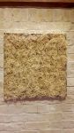 Moosbilder - Alurahmen - Curly Moos - natur-2