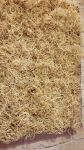 Moosbilder - Alurahmen - Curly Moos - natur-3
