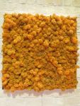 moosbilder-alu-islandmoos-orange-5050-3