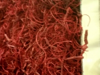 moosbilder-alu-curly moos-bordeaux-4