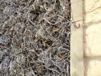 moosbilder-alu curly moos-grau-1