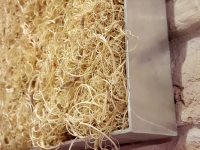 moosbilder-alu curly moos-natur-1