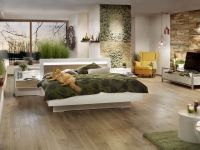 Mooswand - Moosbild - Curly und Islandmoos - Schlafzimmer