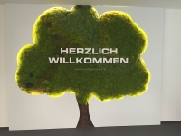 mooswaende-ladenbau-empfang-baum-1