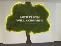 mooswaende-ladenbau-empfang-baum-1