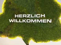 mooswaende-ladenbau-empfang-baum-2