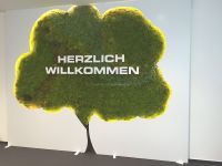 mooswaende-ladenbau-empfang-baum-3