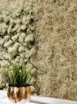 Mooswand - Moosbild - Curly Moos - Islandmoos - Schlafzimmer