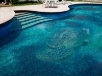 Mosaikfliesen Glassdecor als Wandverkleidung im Pool