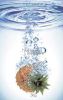 Glasmosaik Serie Fruit DSFT08