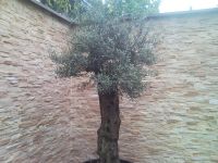 Kunststeinpaneele Bari - Farbe Mediterran