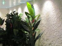 Kunststeinpaneele Colorado - AidaMar - Wellness-Oase