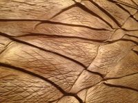 Kunststeinpaneele - Stone Edition - Elefantenhaut