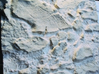 Kunststeinpaneele Marsalla Grau