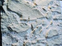 Kunststeinpaneele Marsalla Grau