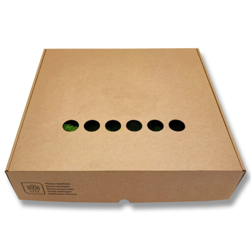 Moos - Lose Verpackt - Detail Karton