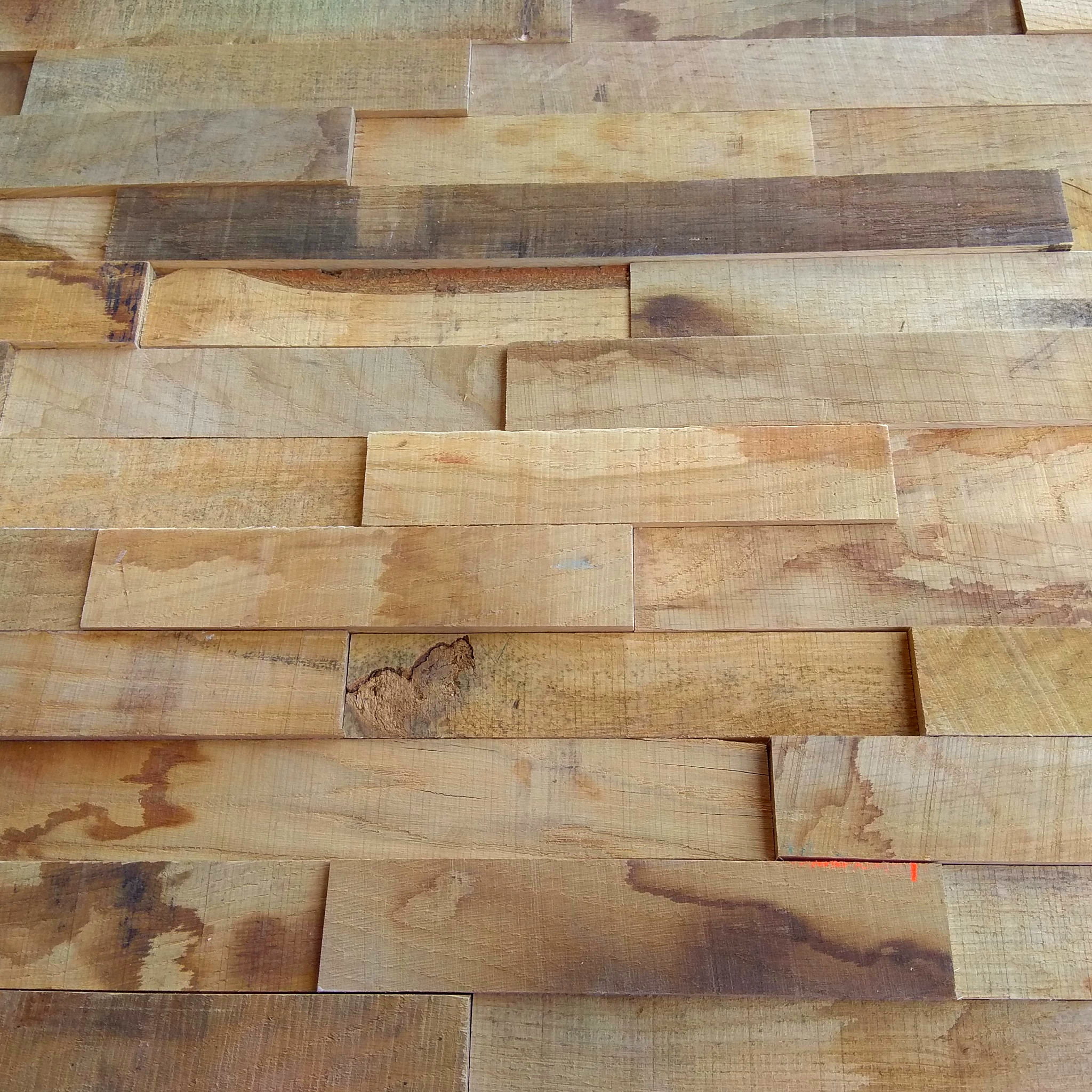 Holzpaneele Harmony Natur Kollektion Basic