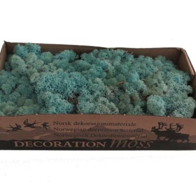 Islandmoos - Aquamarin