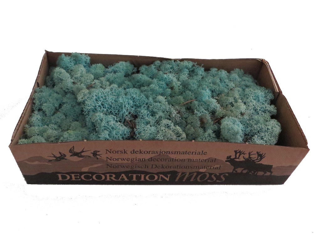 Islandmoos - Aquamarin